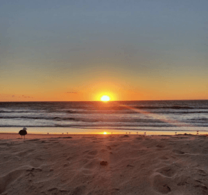 Hermosa Beach CA